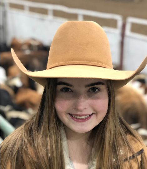 Rodeo King 7X 4 1/2" Brim | Camel