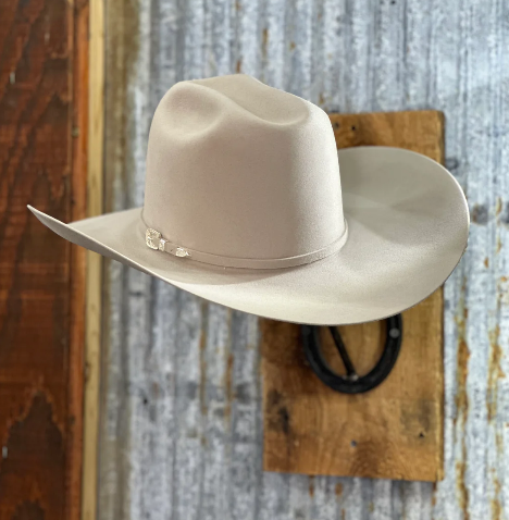 Rodeo King 100X / 100% Pure Beaver 4 1/2" Brim | Silverbelly