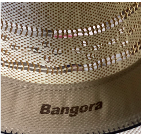 Twister Ivory Bangora 4 1/4" Brim