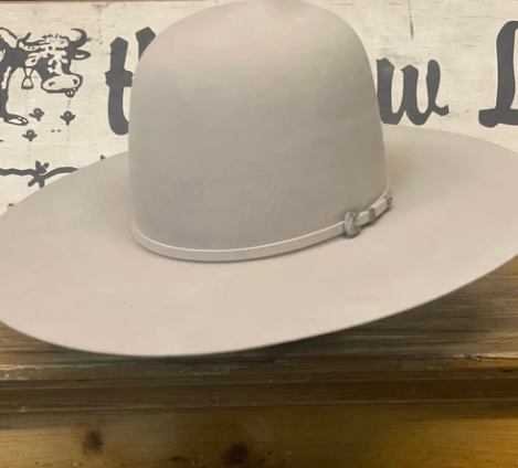Rodeo King 30X 4 1/2“ Brim | Silverbelly