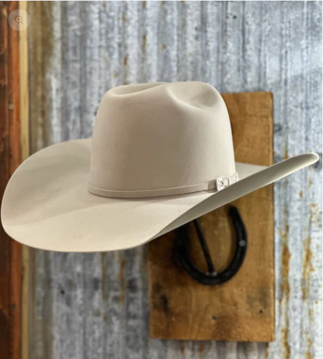 Rodeo King 100X / 100% Pure Beaver 4 1/2" Brim | Silverbelly